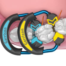 Quad Sectional Matrix System™ by Garrison Dental for Multiple, Back-to-Back Class II Composite Restorations