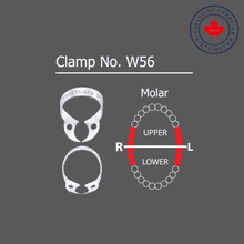 Sanctuary™ Crampons pour digues dentaires sans ailettes | Curion Dental