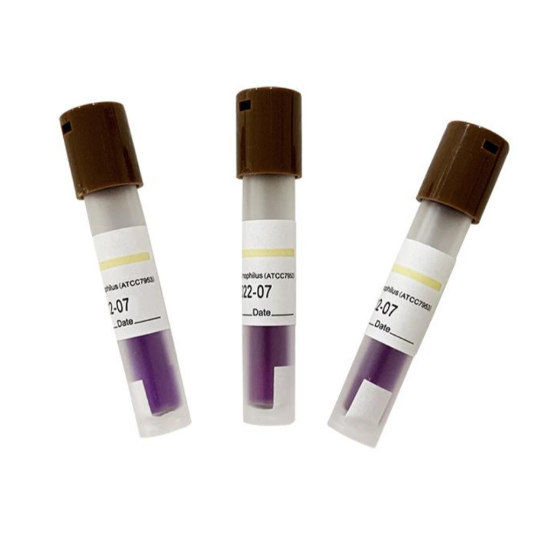 D2D Indicateur biologique pour la stérilisation à la vapeur - 24 heures