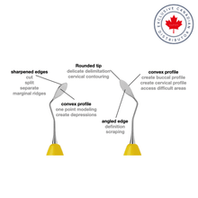 LM-Arte™ Solo Anterior | Curion Dental