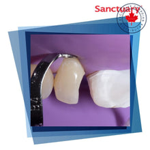 Sanctuary™ Clamps pour digues dentaires | Curion Dental