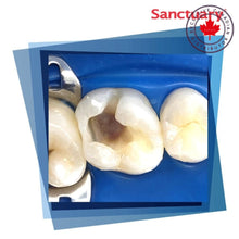 Sanctuary™ Barrière dentaire non latex sans poudre | Curion Dental